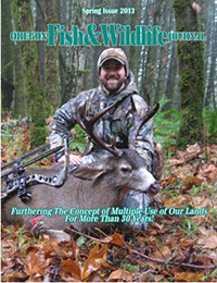 2013 Spring Journal