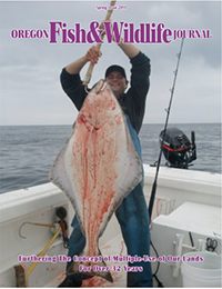 2011 Summer Journal