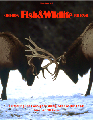 2010 Winter Journal