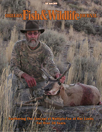 2010 Fall Journal