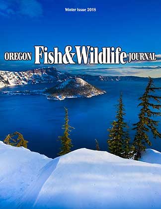 2018 Winter Journal