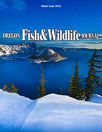 2018 Winter Journal