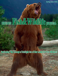 2020 Spring Journal