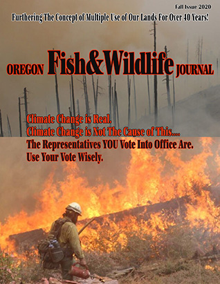 2020 Fall Journal